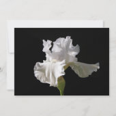 Carte De Remerciements Fleurs | White Iris (Devant)