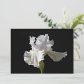 Carte De Remerciements Fleurs | White Iris (Debout devant)