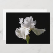 Carte De Remerciements Fleurs | White Iris (Devant / Derrière)