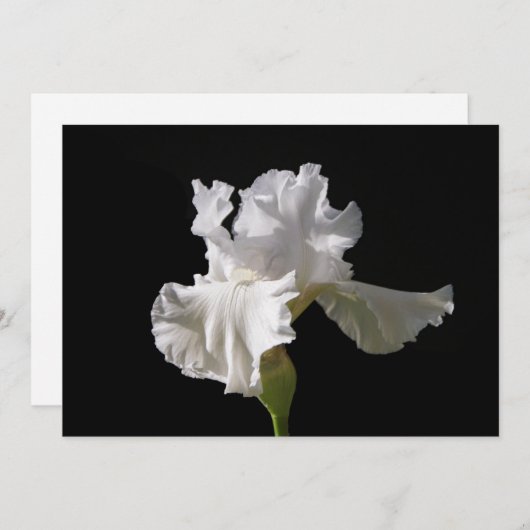 Carte De Remerciements Fleurs | White Iris (Devant / Derrière)
