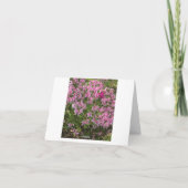 Carte de remerciements floral (Dos)