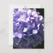 Carte De Remerciements Floral pourpre hydrangée violette fleur pourpre (Dos)