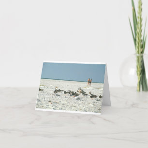 Carte De Remerciements Florida Beach avec mouettes art photographie