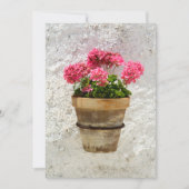Carte De Remerciements Flowers | Geranium In Flower in Pot (Devant)
