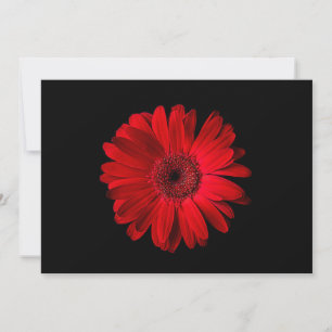 Carte De Remerciements Flowers (homonymie)   Gerbera
