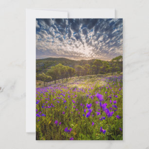 Carte De Remerciements Flowers (homonymie)   Ordre d'Australie