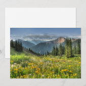 Carte De Remerciements Flowers (homonymie) | Wildflowers Silverton Colora (Devant / Derrière)