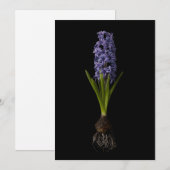 Carte De Remerciements Flowers | Purple Hyacinth Bulb (Devant / Derrière)