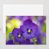 Carte De Remerciements Flowers | Purple Pansies (Devant / Derrière)