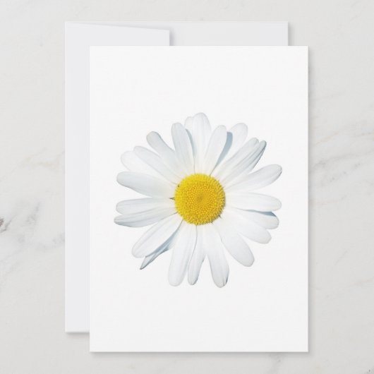 Carte De Remerciements Flowers | Single Daisy (Devant)
