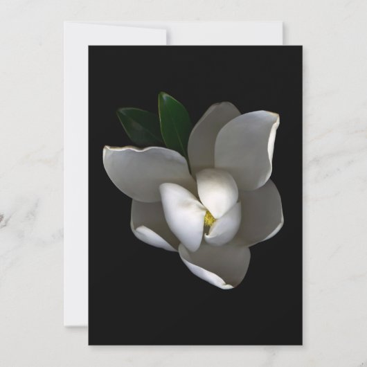 Carte De Remerciements Flowers | Single White Magnolia Blossom (Devant)