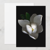Carte De Remerciements Flowers | Single White Magnolia Blossom (Devant / Derrière)