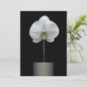 Carte De Remerciements Flowers | White Orchid Flower (Debout devant)