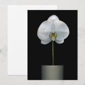 Carte De Remerciements Flowers | White Orchid Flower (Devant / Derrière)