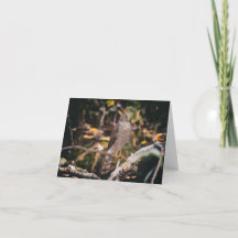 Folded Thank You Card