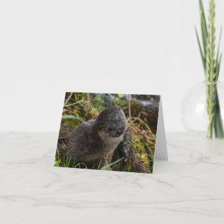 Carte De Remerciements Folded Thank You Card