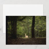 Carte De Remerciements Forest | A White Tailed Deer in the Woods (Devant / Derrière)