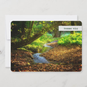 Carte De Remerciements Forest Creek Belle nature Paysage Photo