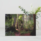 Carte De Remerciements Forest | Séquwood Forest California (Debout devant)