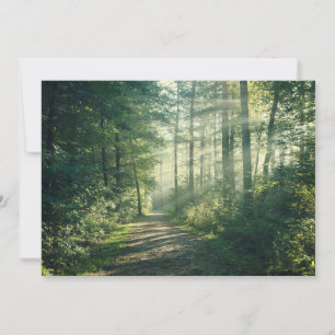 Carte De Remerciements Forests   Forest Path Hamburg Germany