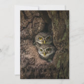 Carte De Remerciements Forests | Two Owls Looking (Devant)