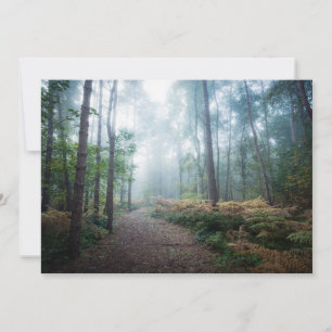 Carte De Remerciements Forêt   Dark Foggy Woods Norfolk UK