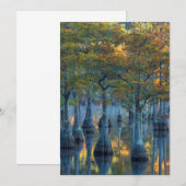 Carte De Remerciements Forêt des Cyprès de Pond (Devant / Derrière)