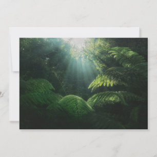 Carte De Remerciements Forêt Fermes dans la forêt tropicale