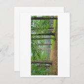 Carte De Remerciements Forêt ouverte (Devant / Derrière)