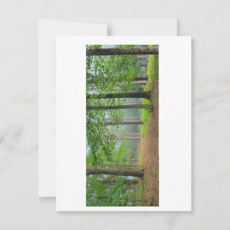 Carte De Remerciements Forêt ouverte