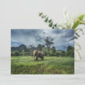 Carte De Remerciements Forêt | Parc national de Kao Sok (Debout devant)