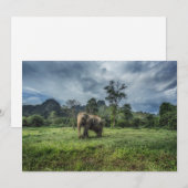 Carte De Remerciements Forêt | Parc national de Kao Sok (Devant / Derrière)