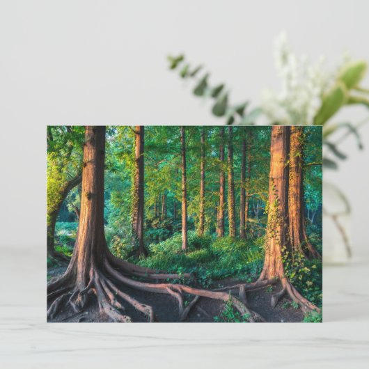 Carte De Remerciements Forêt | Végétation et forêt (Debout devant)