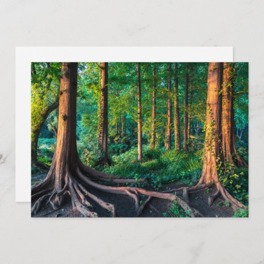 Carte De Remerciements Forêt | Végétation et forêt (Devant / Derrière)