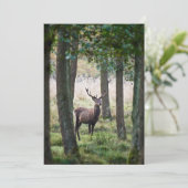 Carte De Remerciements Forêt | Woodlands & Red Deer (Debout devant)