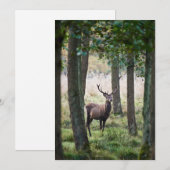Carte De Remerciements Forêt | Woodlands & Red Deer (Devant / Derrière)