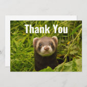 Carte De Remerciements Fouret brun mignon dans l'herbe (Devant / Derrière)