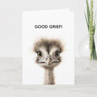 CARTE DE REMERCIEMENTS FRAZZLED BELATED BIRTHDAY CARD