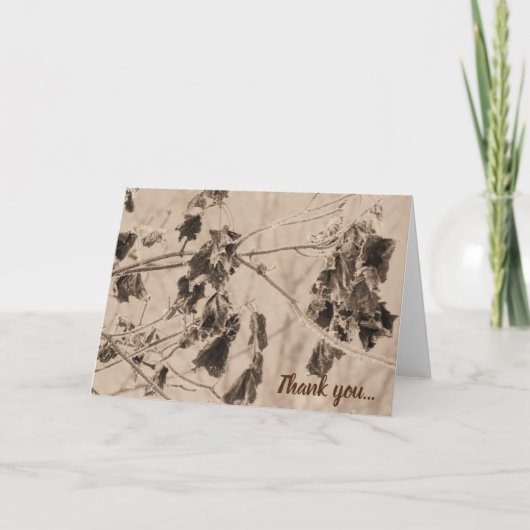 Carte De Remerciements Frost d'hiver sur Sepia Feuille (Devant)