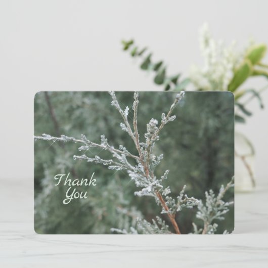 Carte De Remerciements Frosty À feuillage persistant Noël Nature Photo (Debout devant)