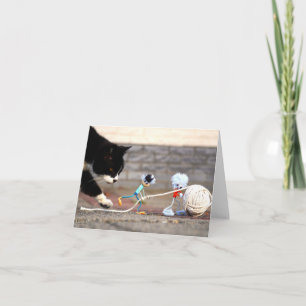 Carte De Remerciements Fubby joue avec une pelote de ficelle et Poes Ping