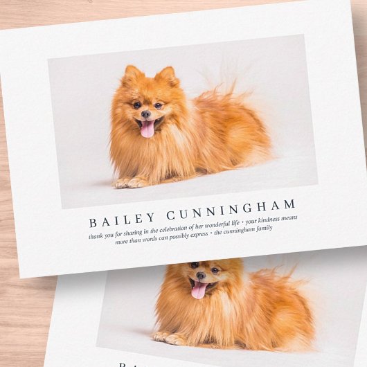 Carte De Remerciements Funérailles commémoratives pour animal de compagni