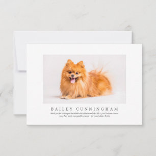 Carte De Remerciements Funérailles commémoratives pour animaux de compagn