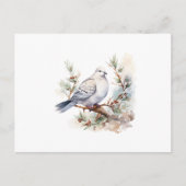 Carte de remerciements funéraire de la colombe aqu (Devant)