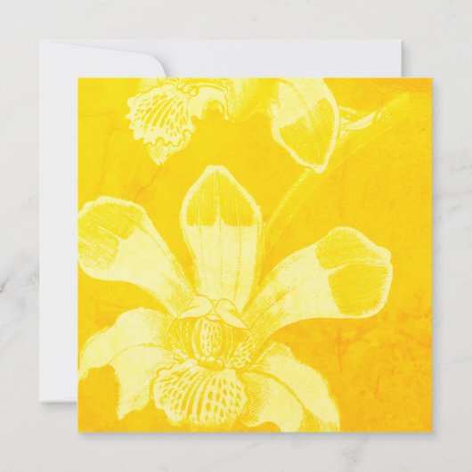 Carte de remerciements funéraire de l'orchidée jau (Dos)