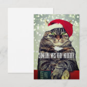 Carte De Remerciements Funny cute angry cat Christmas card (Devant / Derrière)
