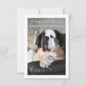 Carte De Remerciements Funny portrait de chien Saint Bernard (Devant)