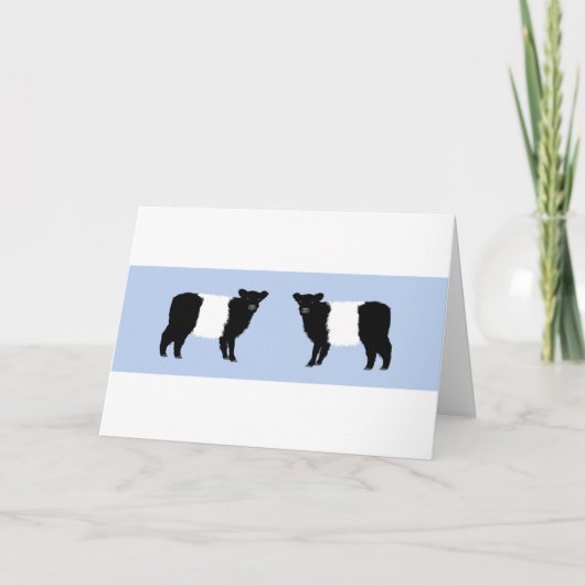 Carte De Remerciements Galloway calf brthday card (Devant)