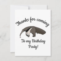 Giant Anteater Joyeux anniversaire