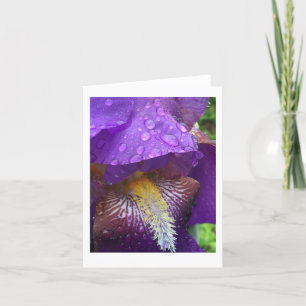 Carte De Remerciements Gladiolus in the rain